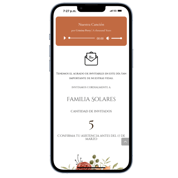 Plan Multi Link Platino Bodas - Imagen 2